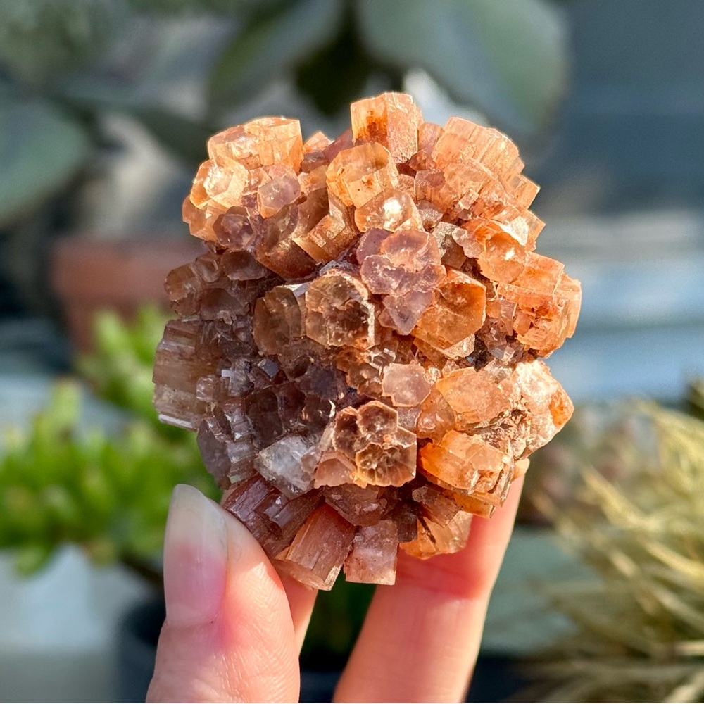 Aragonite Star Crystal Cluster